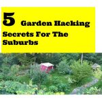 5 great garden hacks for the suburbs