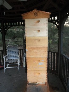 Honey bee hive A