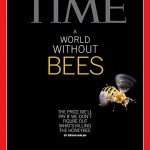 Time cover Beeless World
